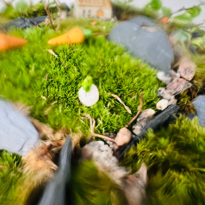 Plant.Studio 'Farmyard' Terrarium