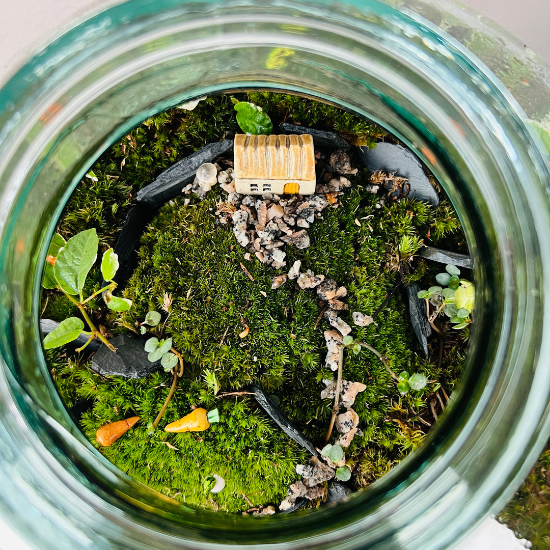 Plant.Studio 'Farmyard' Terrarium