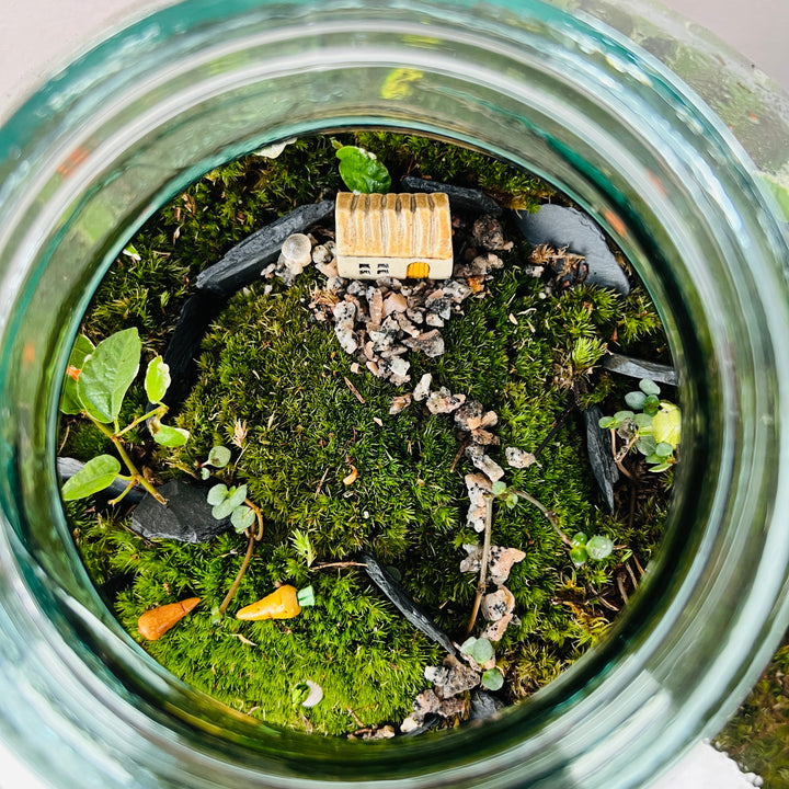 Plant.Studio 'Farmyard' Terrarium