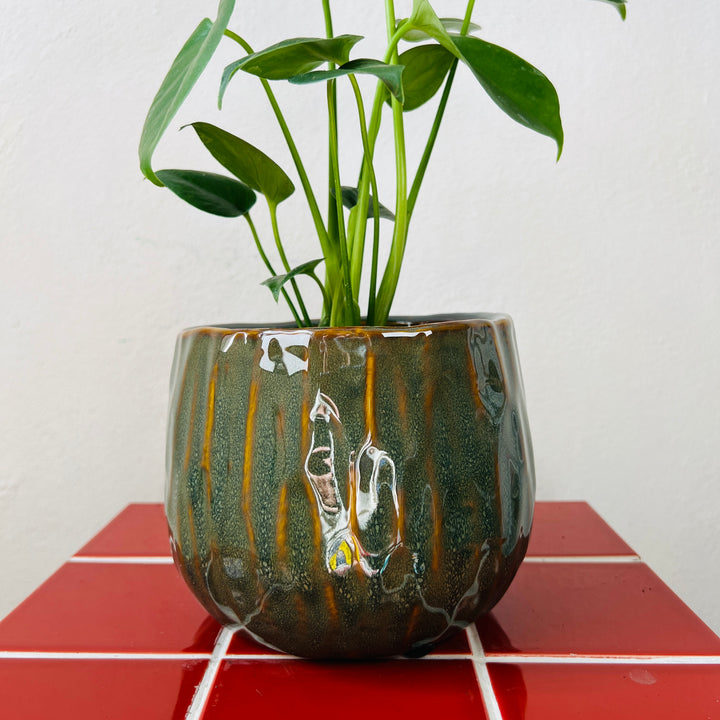 Darwin Ceramic Pot