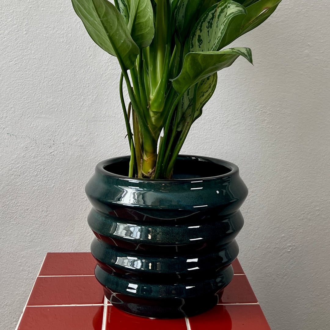 Brody Ceramic Pot – Dark Blue, 22 cm