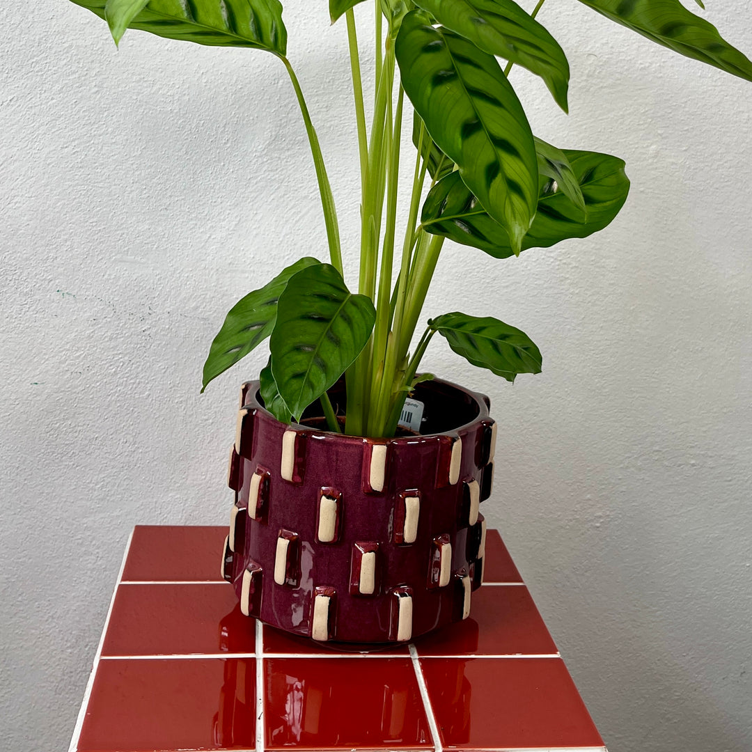 Inez Ceramic Pot – Burgundy