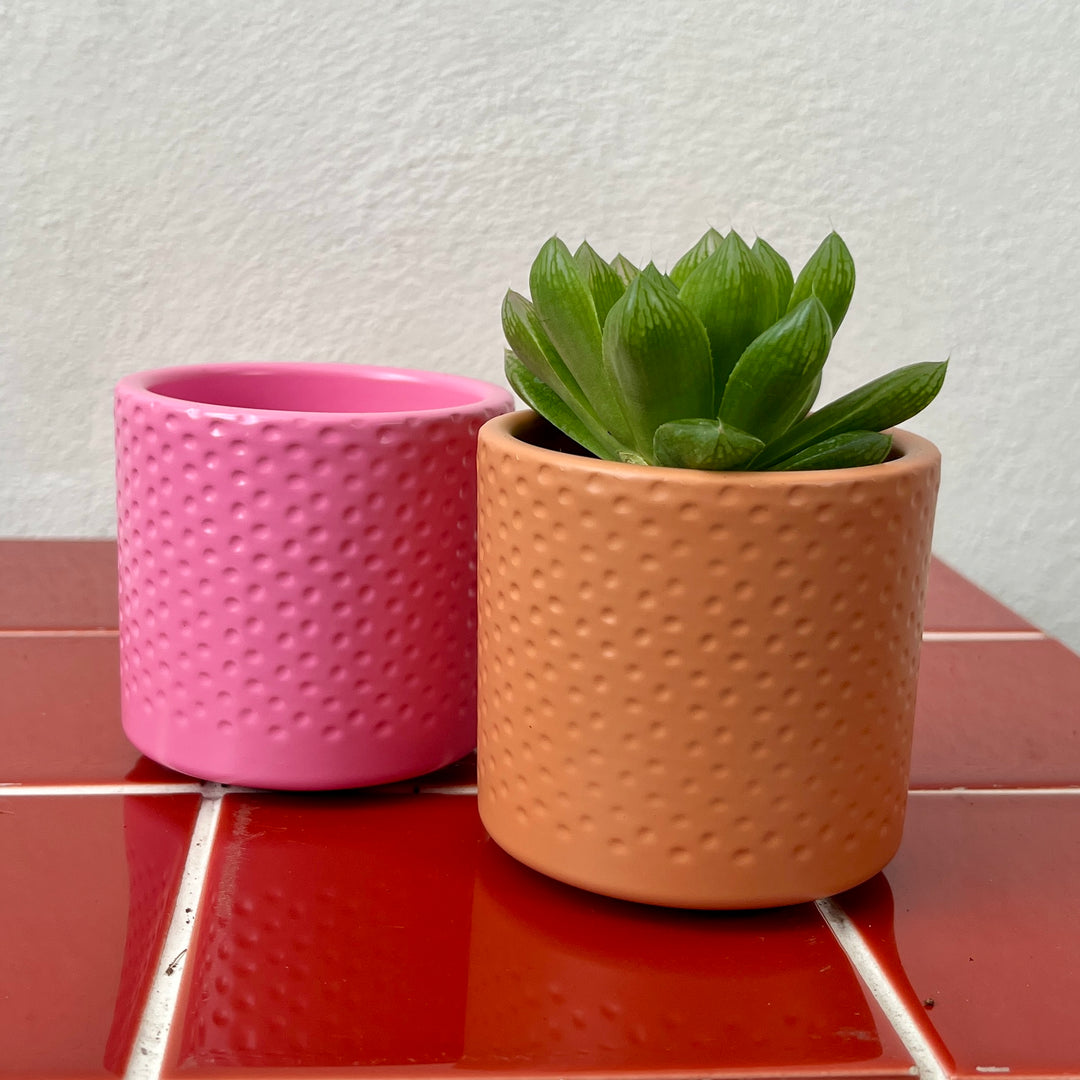 Era Pot – 7 cm