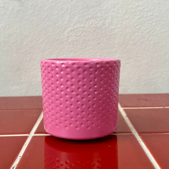 Era Pot – 7 cm