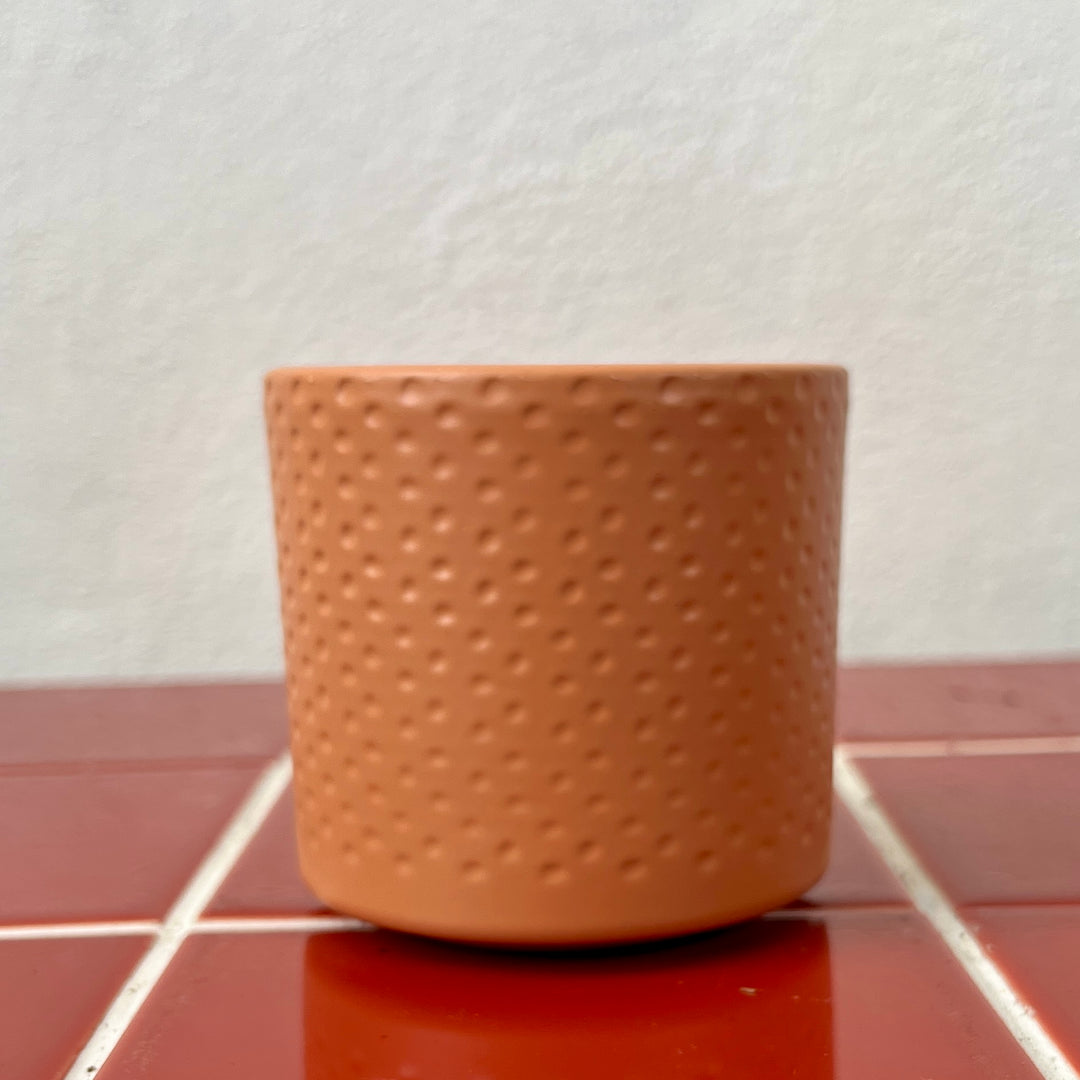 Era Pot – 7 cm