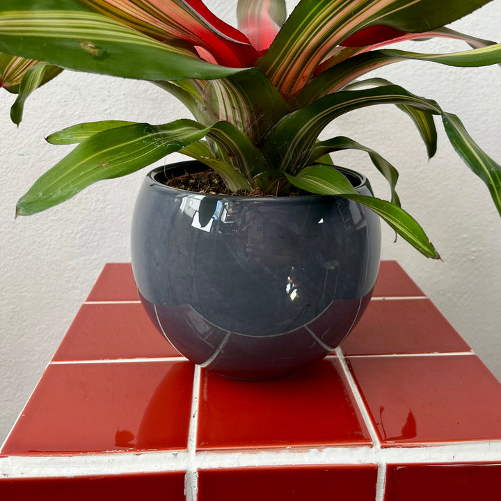 Grey Ceramic Balloon Pot – 13 cm