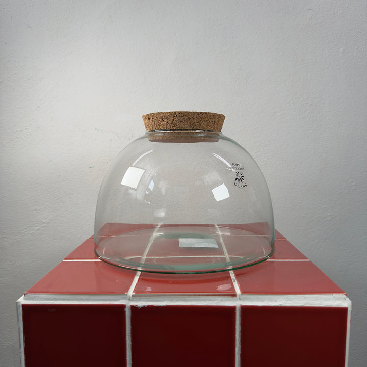 Glass Terrarium Eco Cork shorty wide