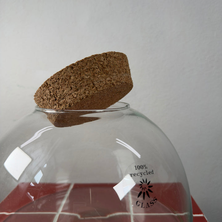 Glass Terrarium Eco Cork shorty wide
