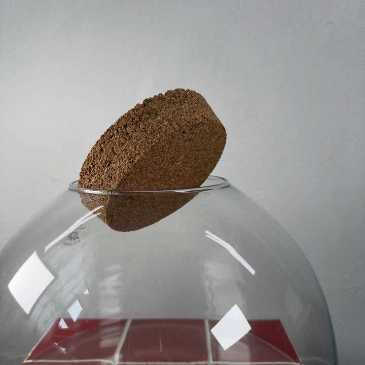 Glass Terrarium Eco Cork shorty wide