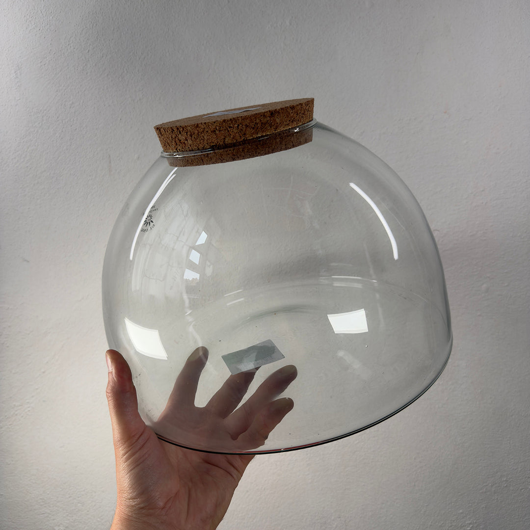 Glass Terrarium Eco Cork shorty wide