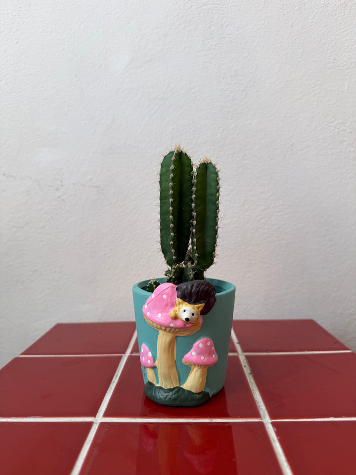 Mushroom Mini Pot