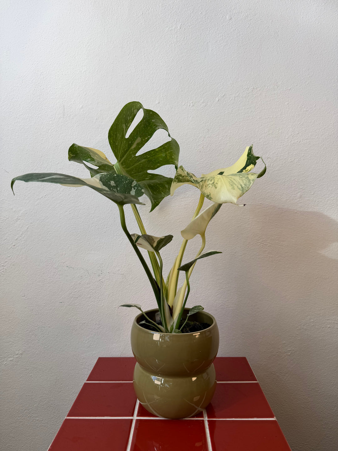 Bubble Pot Lucky Dip — 12cm