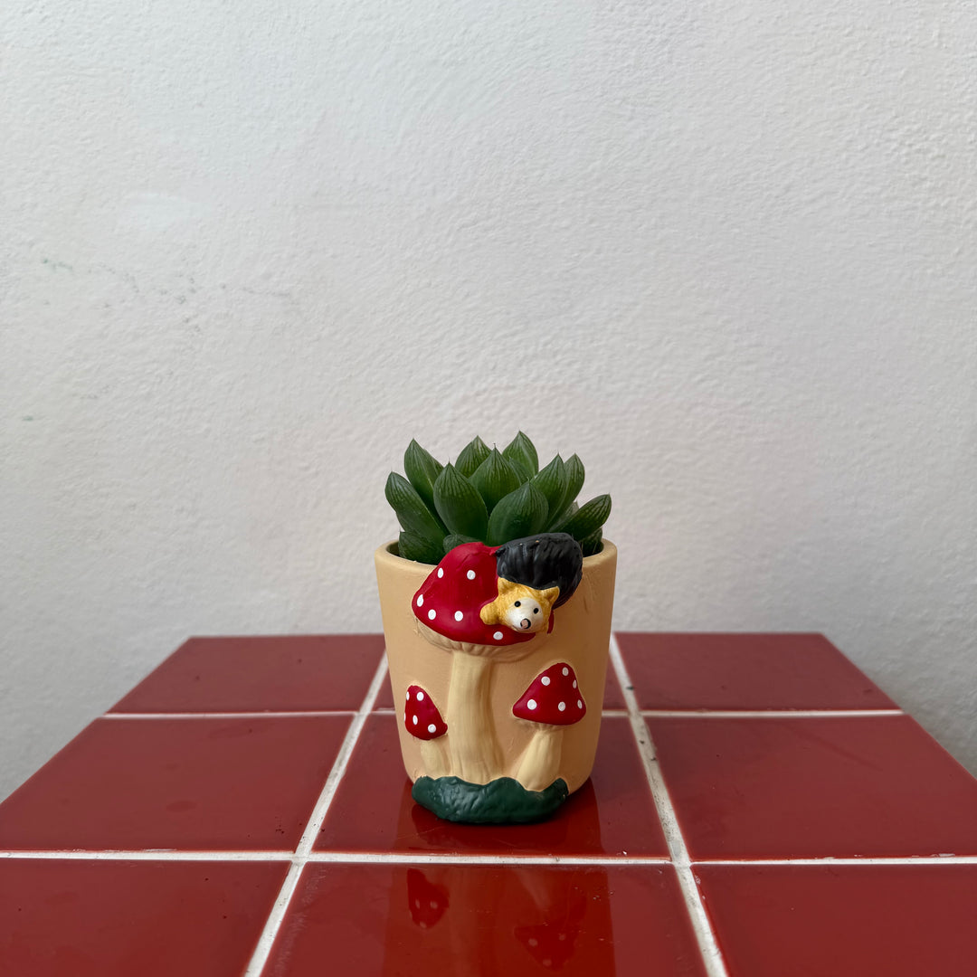 Mushroom Mini Pot