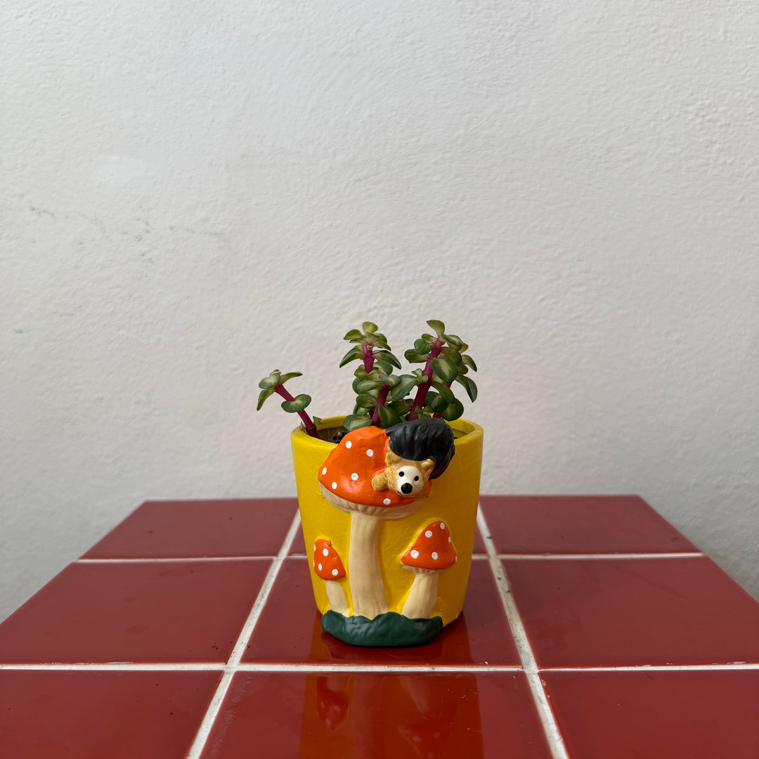Mushroom Mini Pot