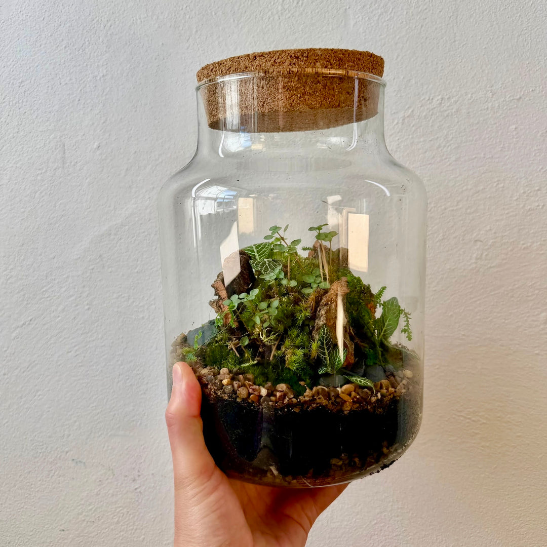 Plant.Studio 'Moss Island' Terrarium