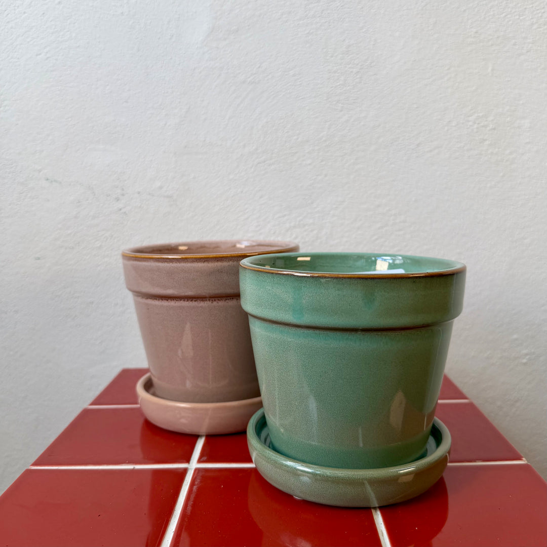 Clint Pot with Saucer pink or green— 13cm