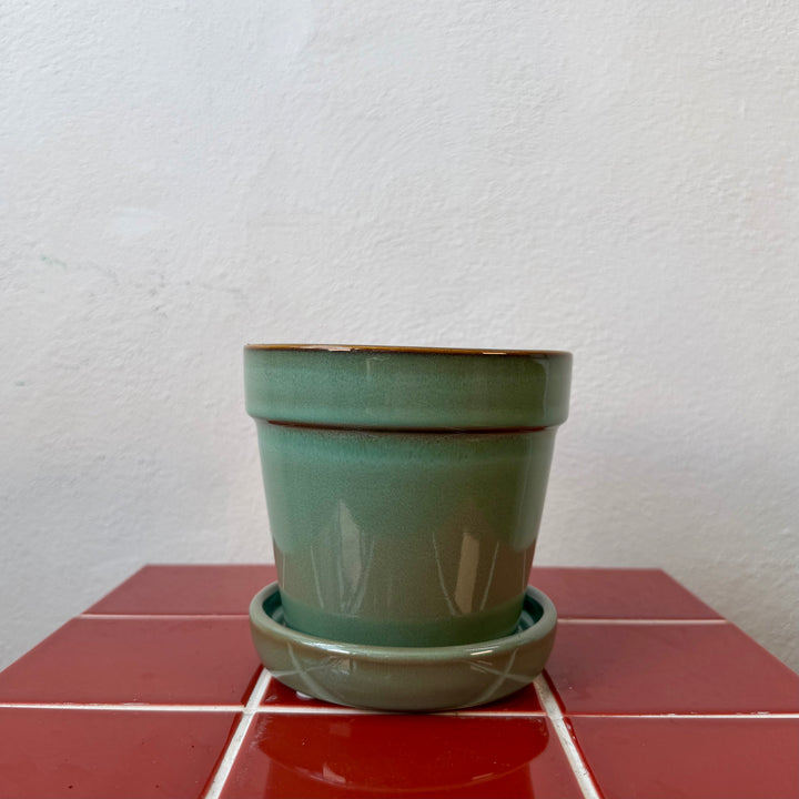 Clint Pot with Saucer pink or green— 13cm