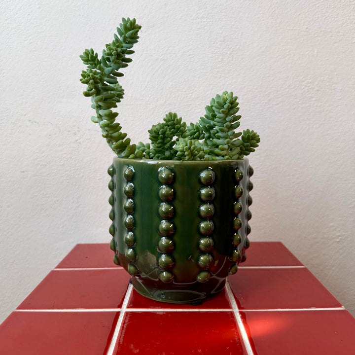 Boaz Round Green Pot — 14.5cm