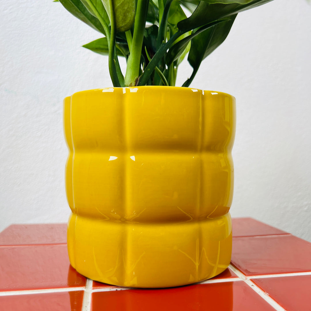 Scalloped Glazed Pot –lucky dip  12cm