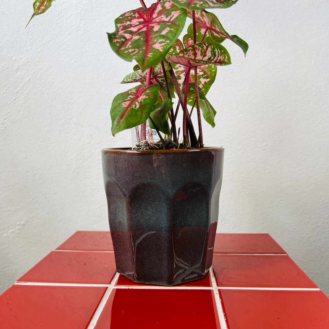 Faceted Glazed Pot lucky dip  – 12cm