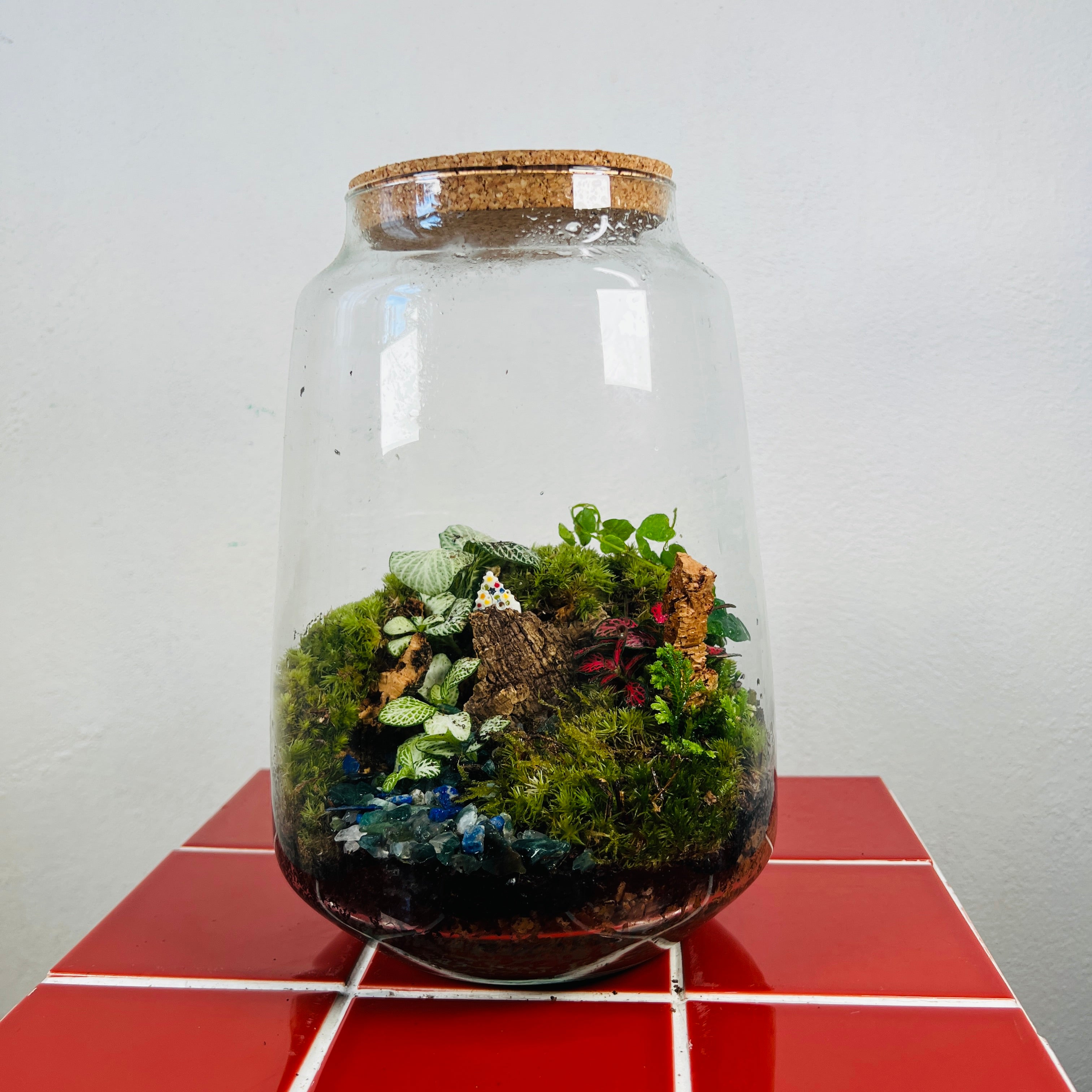 Gifts for Plant Lovers