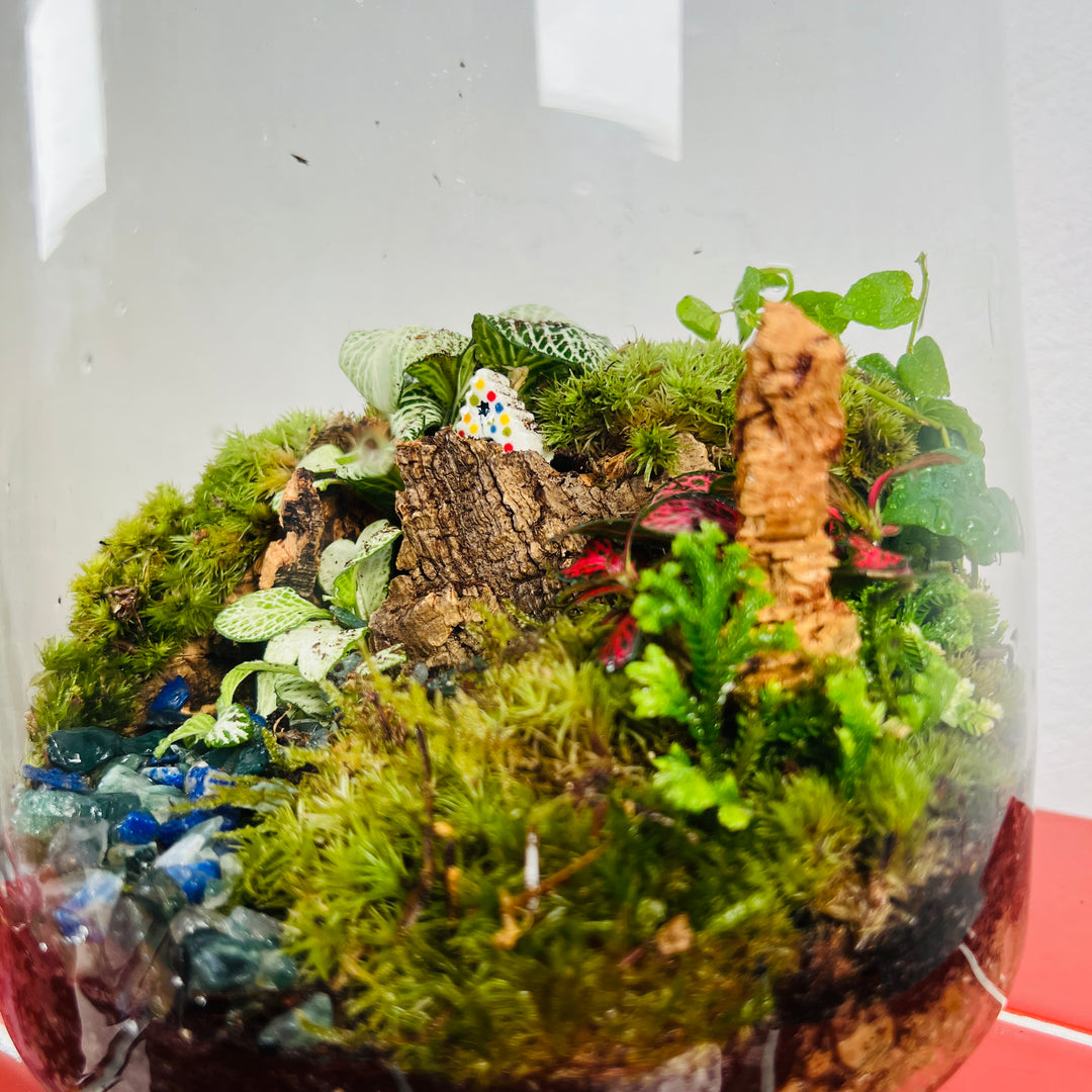 Plant.Studio 'Paradise Falls' Terrarium