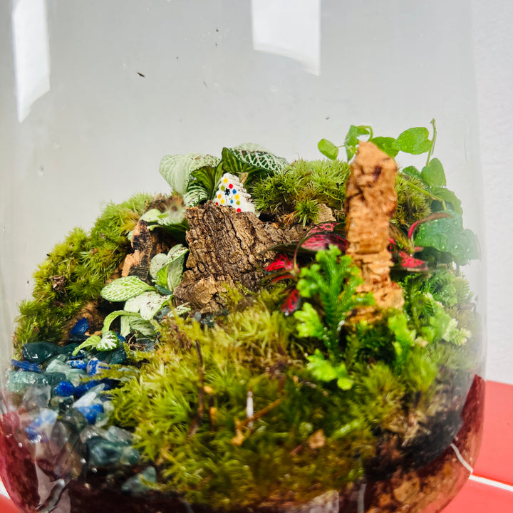Plant.Studio 'Paradise Falls' Terrarium