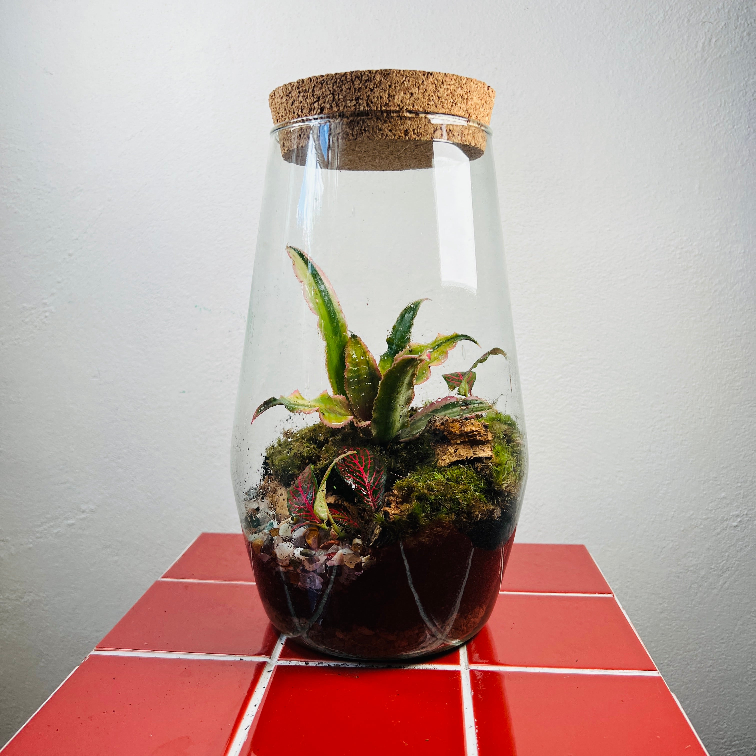Gifts for Plant Lovers