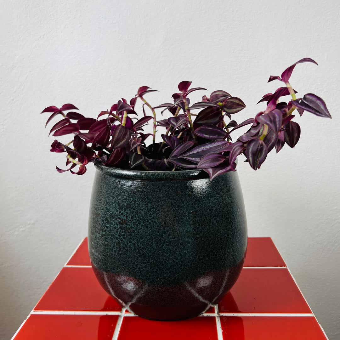 Black Glazed Ceramic Plant Pot 18cm