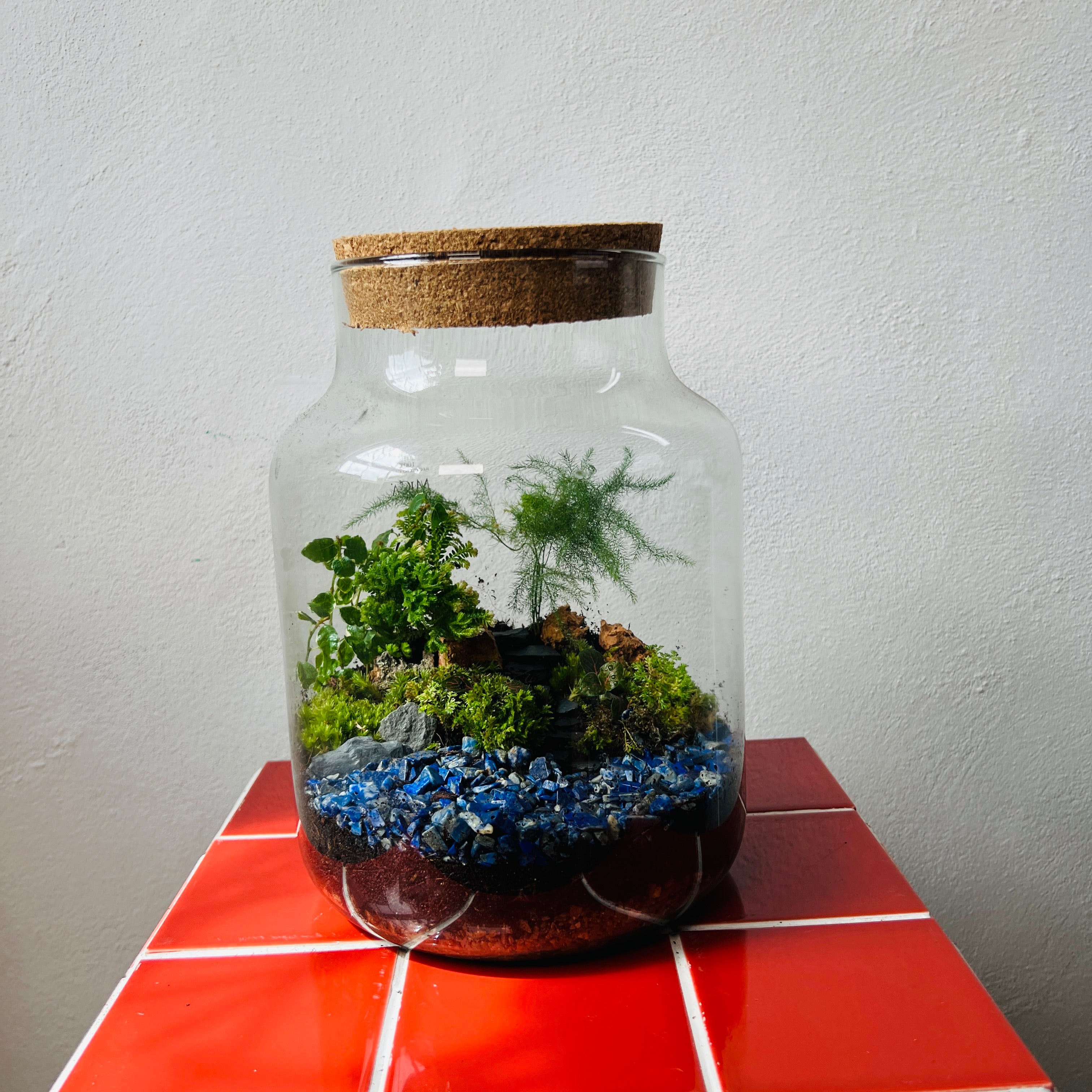 Gifts for Plant Lovers