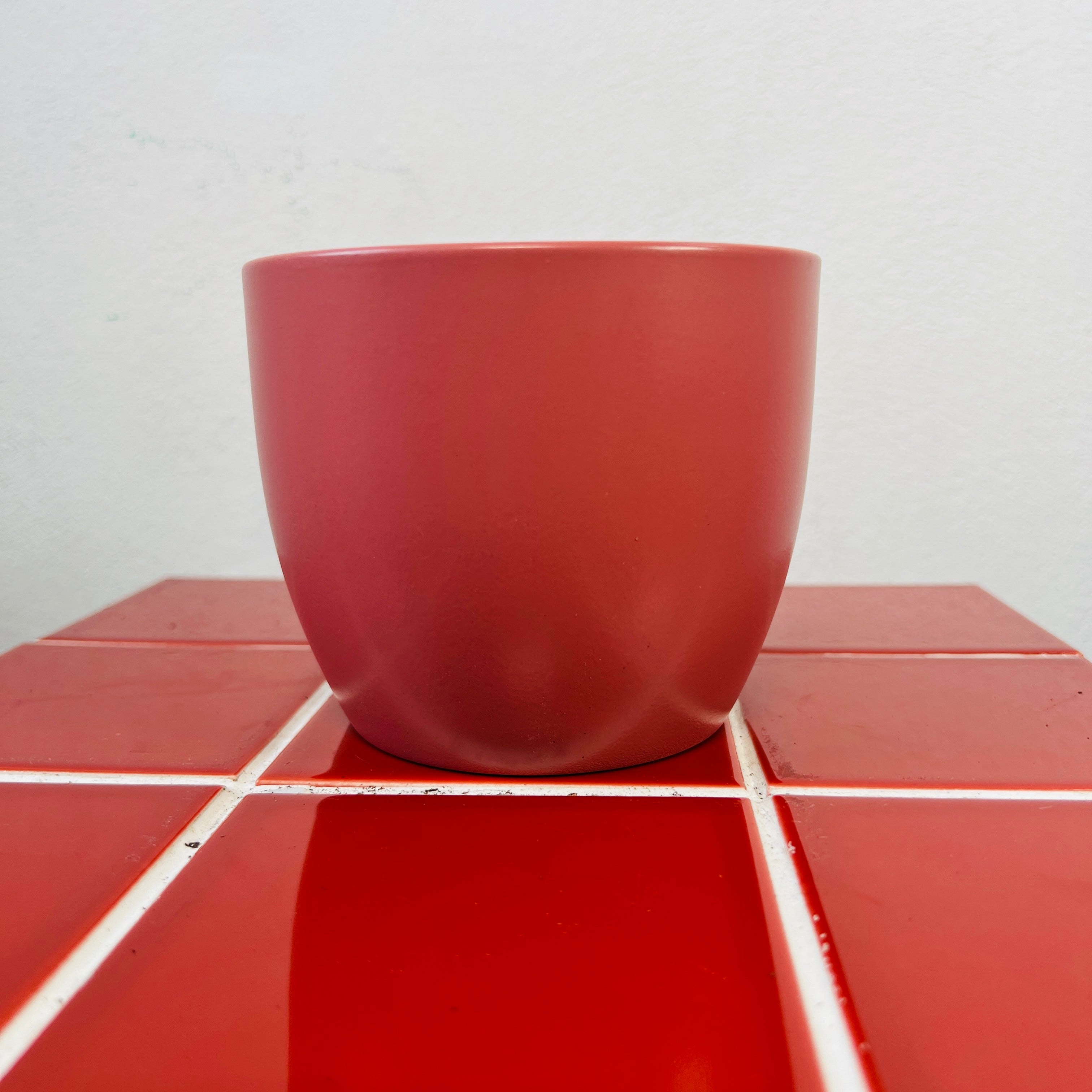 Plant Pots