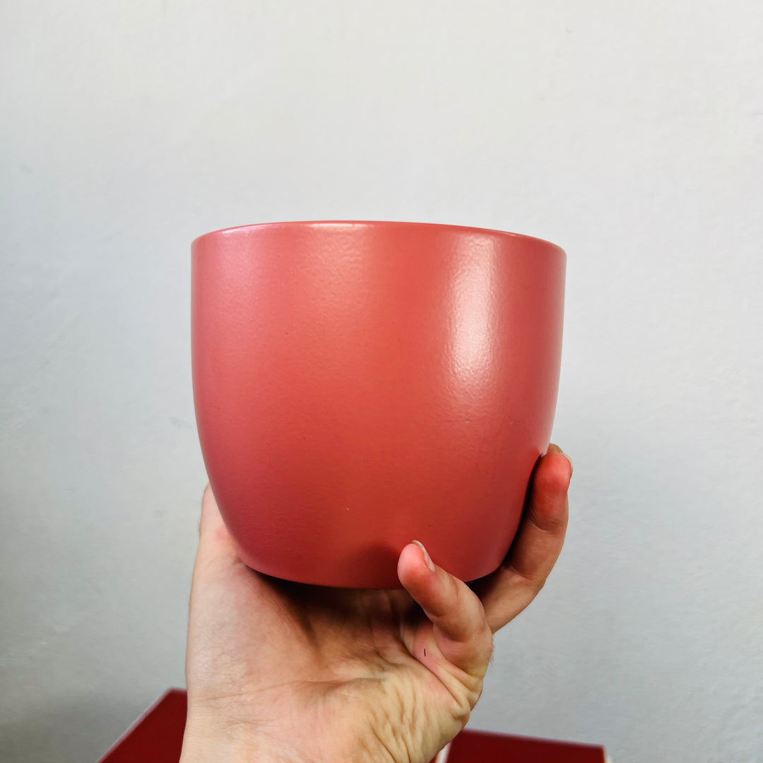 Matte Terracotta Ceramic Plant Pot 12cm