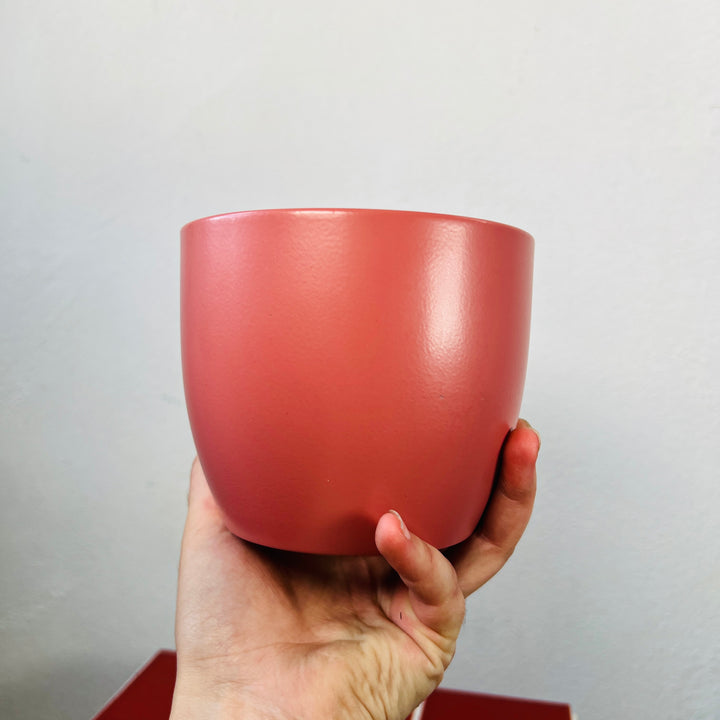 Matte Terracotta Ceramic Plant Pot 12cm
