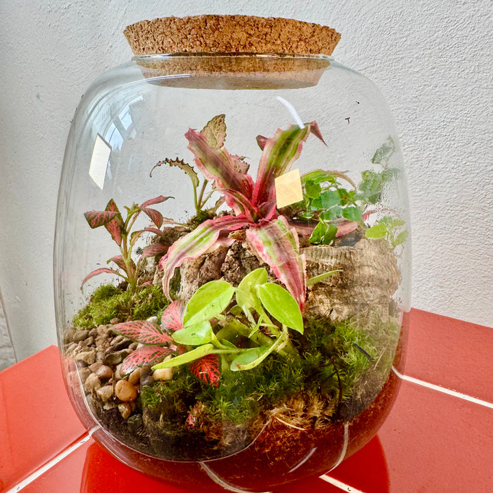Plant.Studio 'Ralph' Terrarium