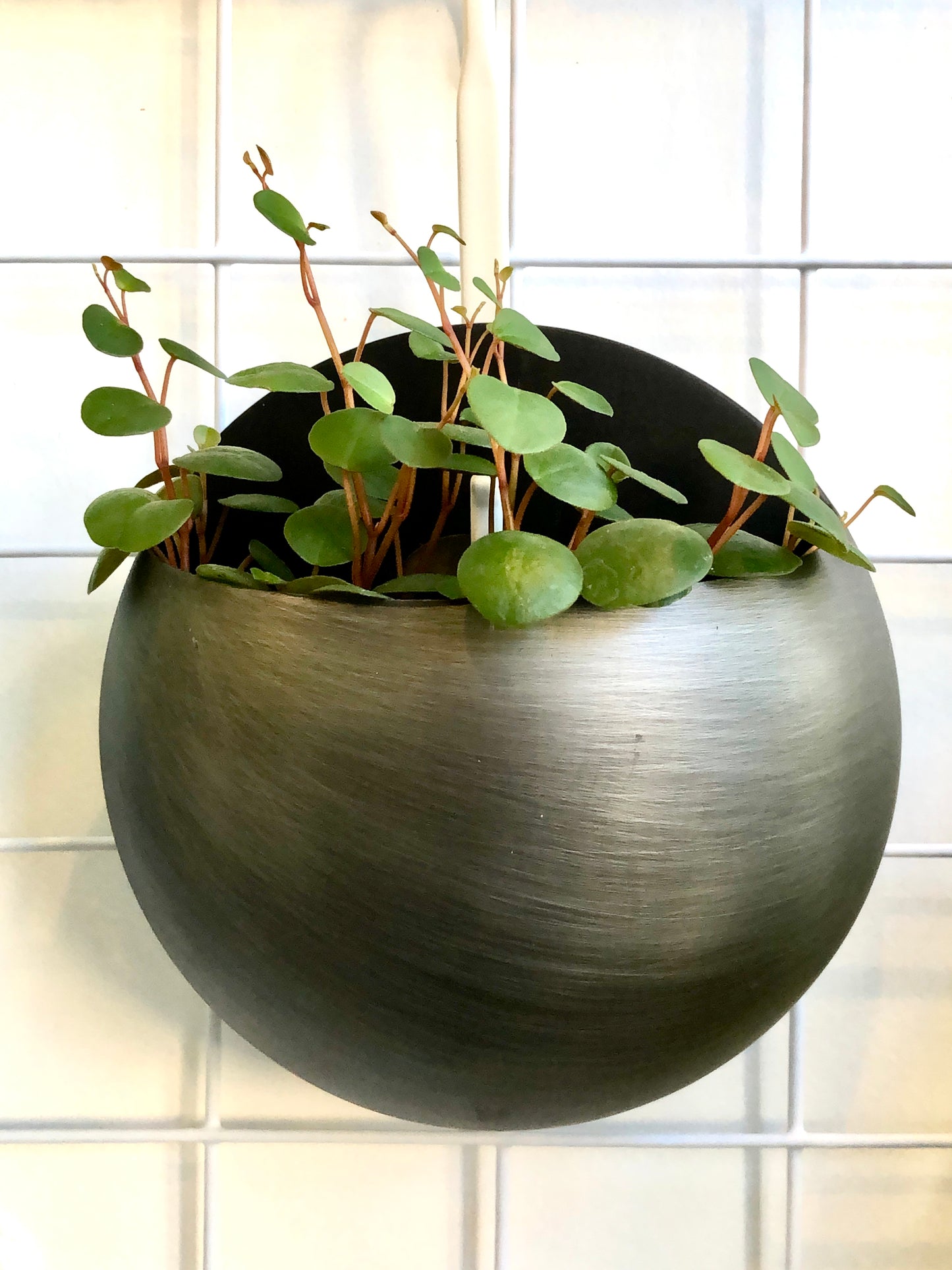 Round Wall Planter