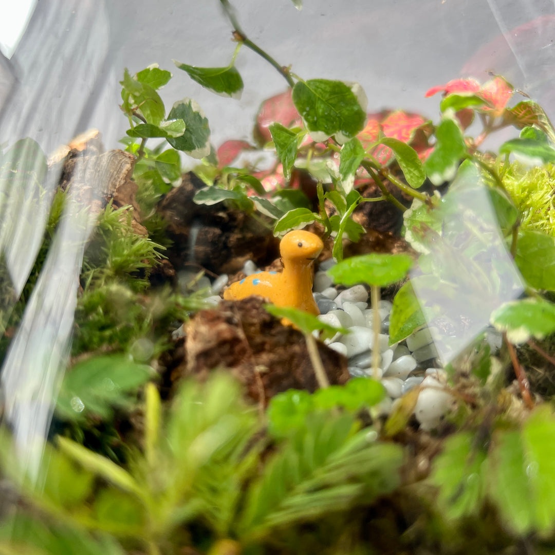 Plant.Studio 'Jurassic Park' Terrarium