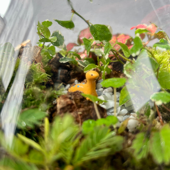Plant.Studio 'Jurassic Park' Terrarium