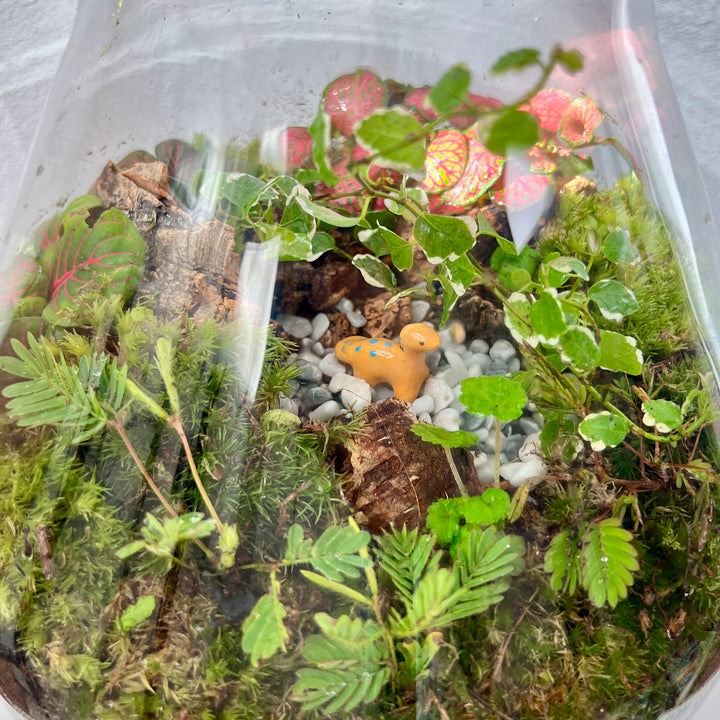 Plant.Studio 'Jurassic Park' Terrarium