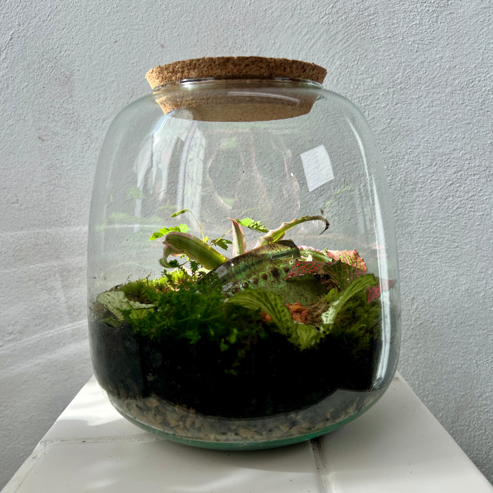 Plant.Studio 'Fallen Fruit' Terrarium