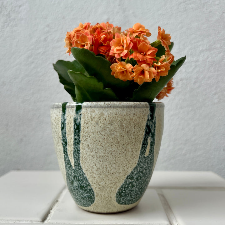 Pot Nova Green Drip Ceramic Planter – Small (Ø8 × H8.5 cm)