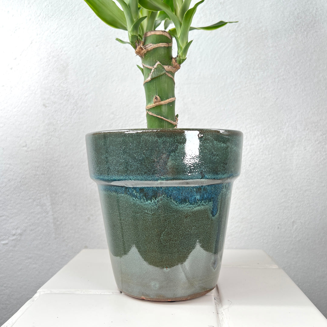 Ebbi Moss Green Pot Glaze
