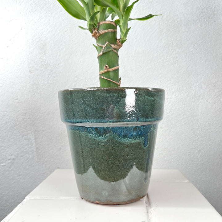 Ebbi Moss Green Pot Glaze