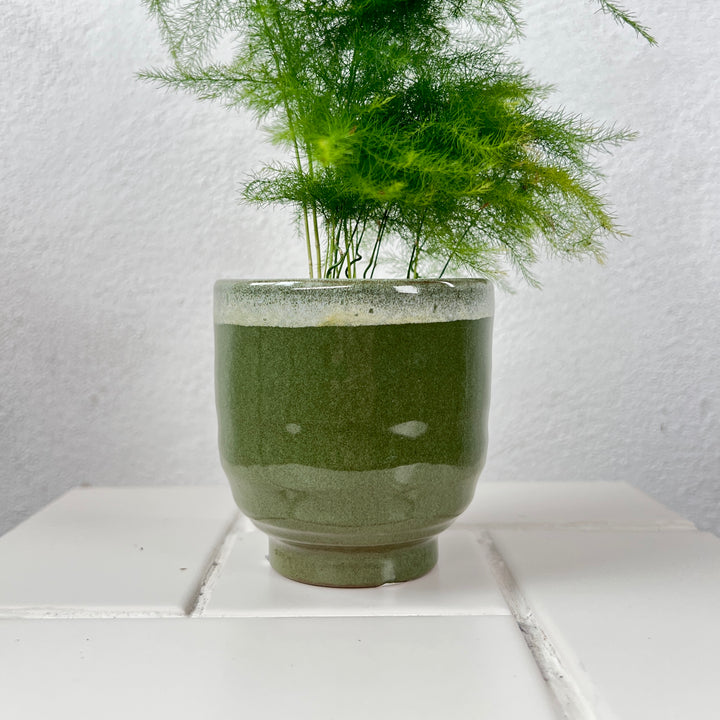 Pot Nova Green Glazed Planter – Small (Ø8 × H8.5 cm)