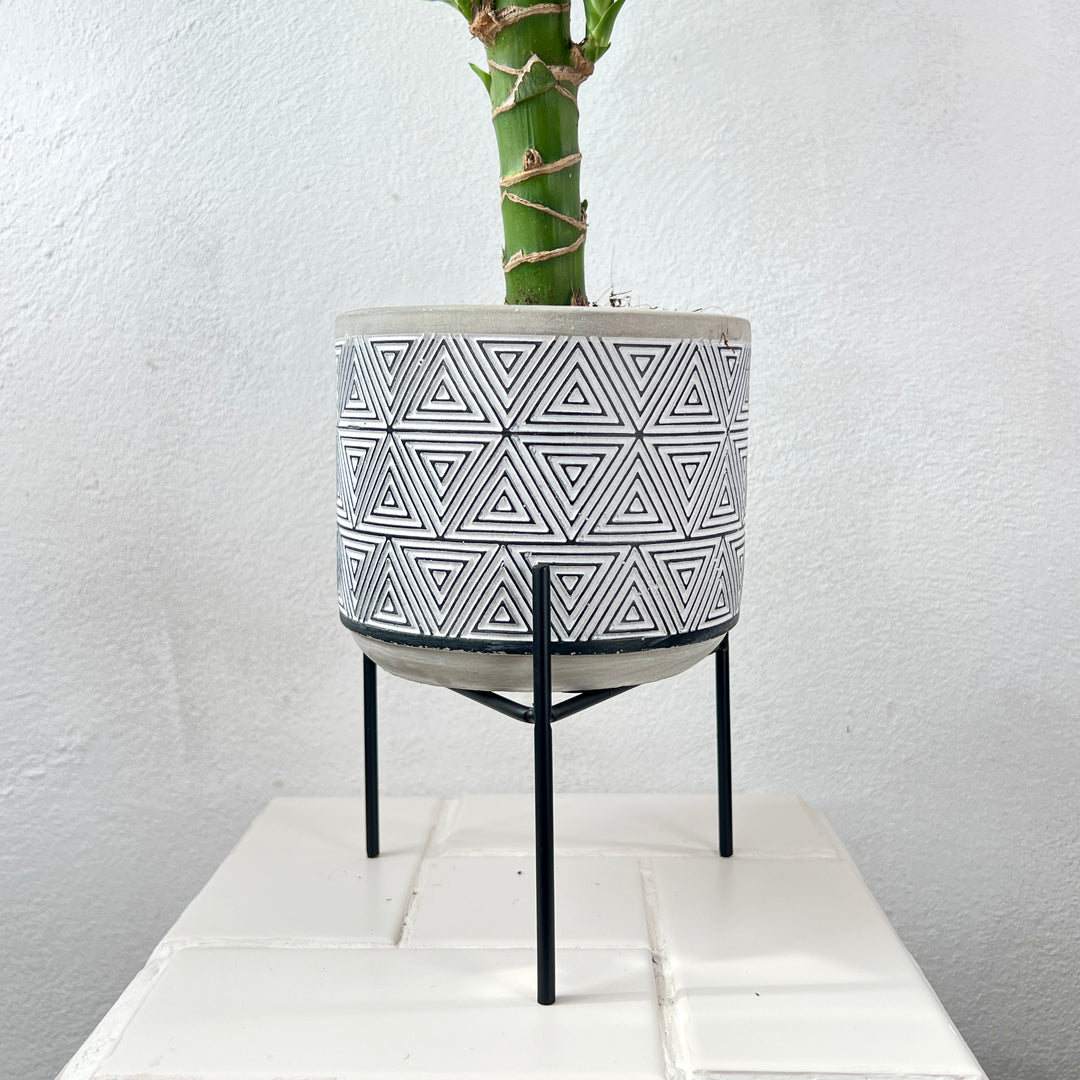 Black & White Geometric Ceramic Pot with Stand – 14 × 12cm (Pattern Variants)