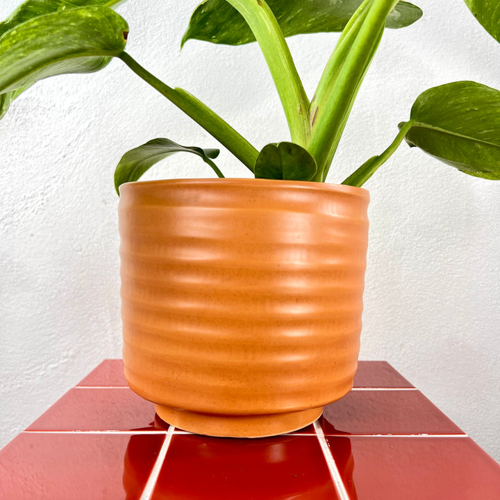Sebas Orange Pot – 18 × 16cm