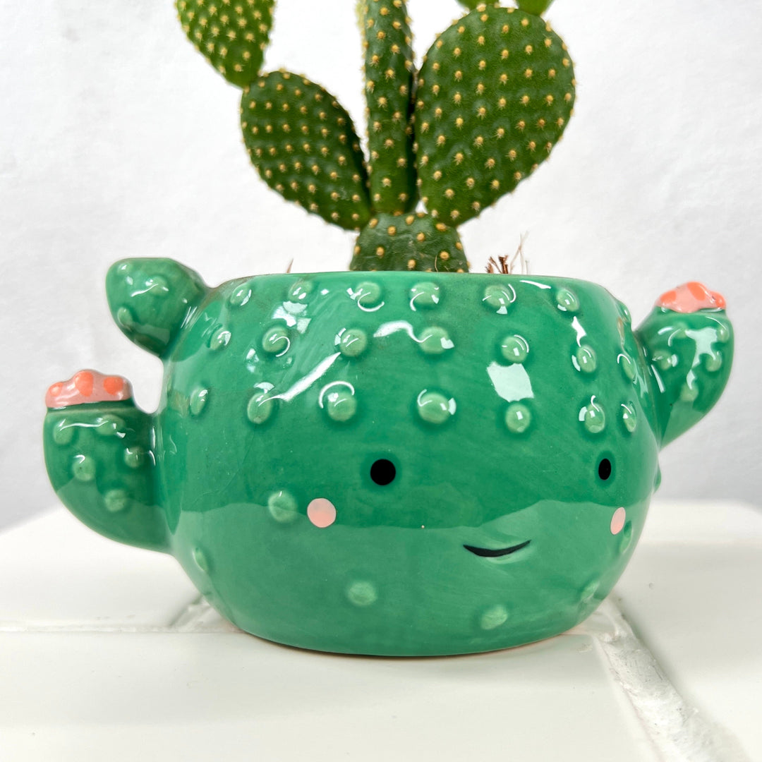 Mini Ceramic Cactus Pot – 10cm