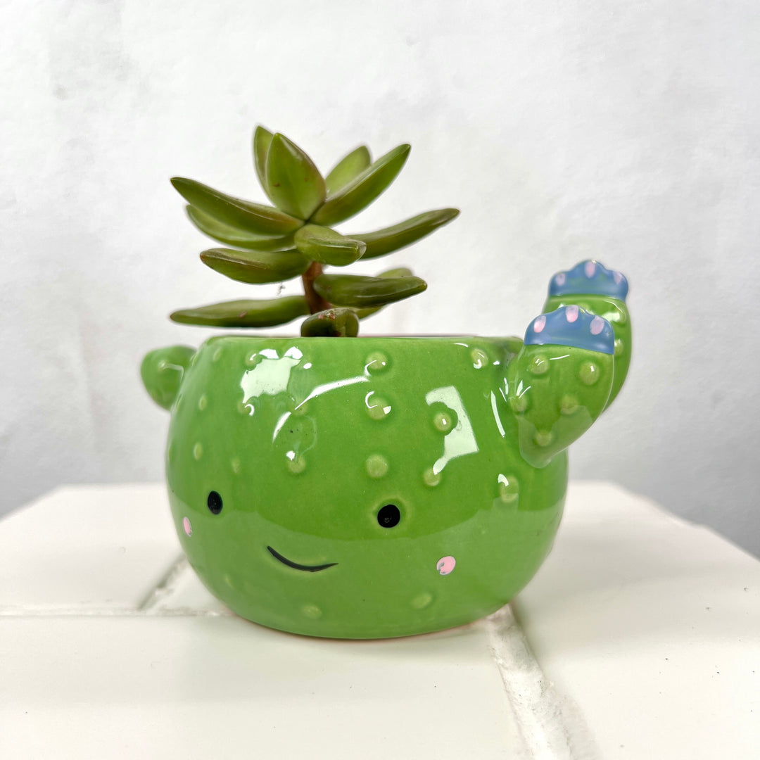 Mini Ceramic Cactus Pot – 10cm
