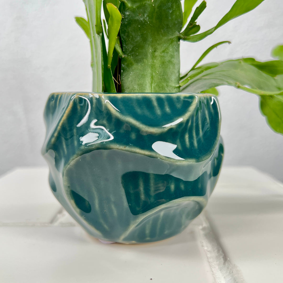 Pot Bianca – Blue & Orange, D9.5 × H7cm