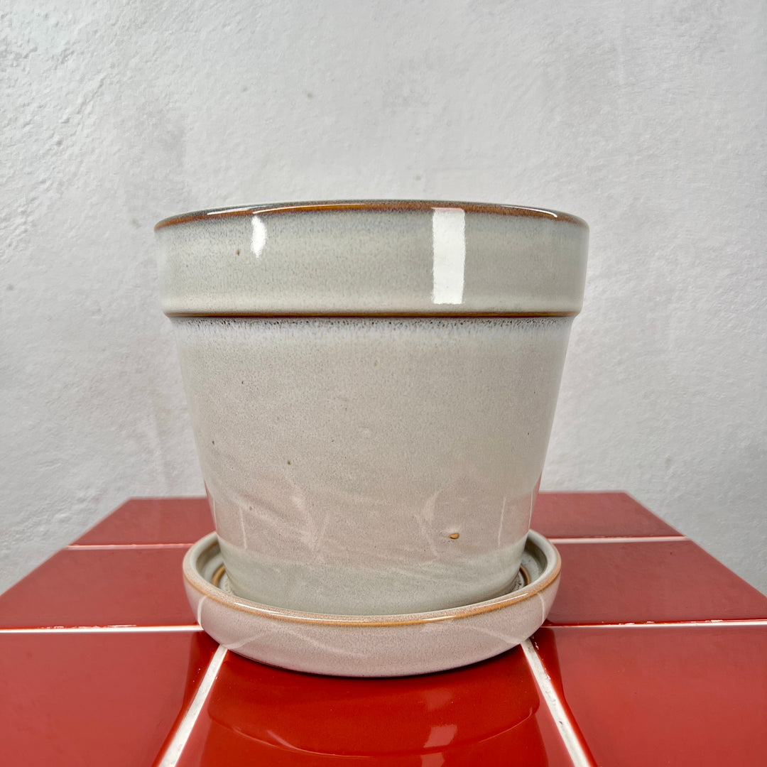 Clint With Saucer pot (comes in pink and white