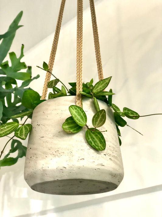 small stratton hanging pot